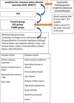 Heart failure biomarkers in revascularized patients with stable coronary heart disease as clinical outcome predictors